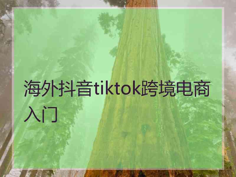 海外抖音tiktok跨境电商入门