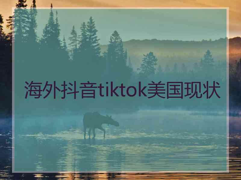 海外抖音tiktok美国现状