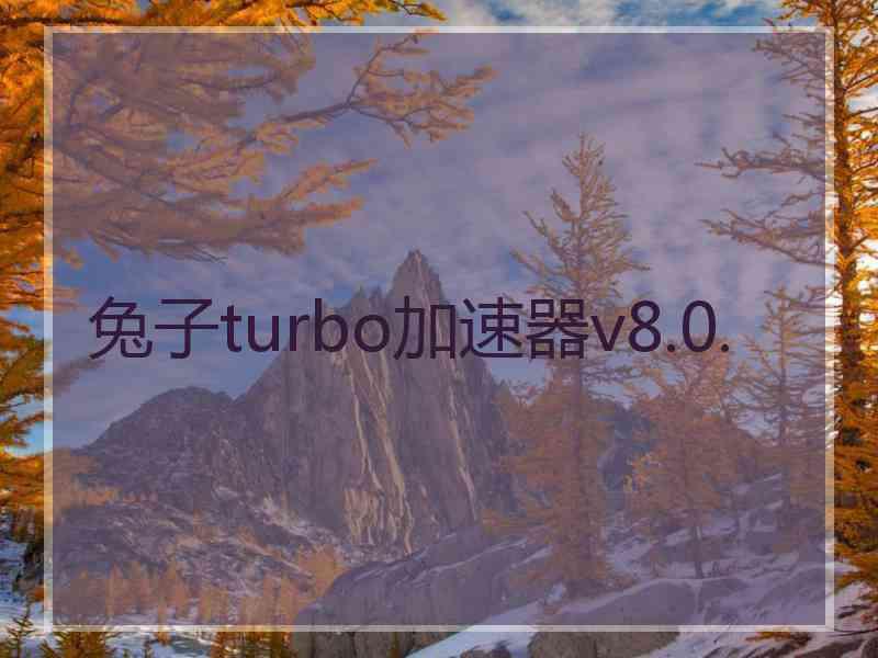 兔子turbo加速器v8.0.