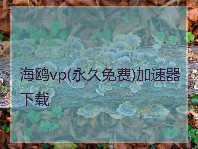 海鸥vp(永久免费)加速器下载