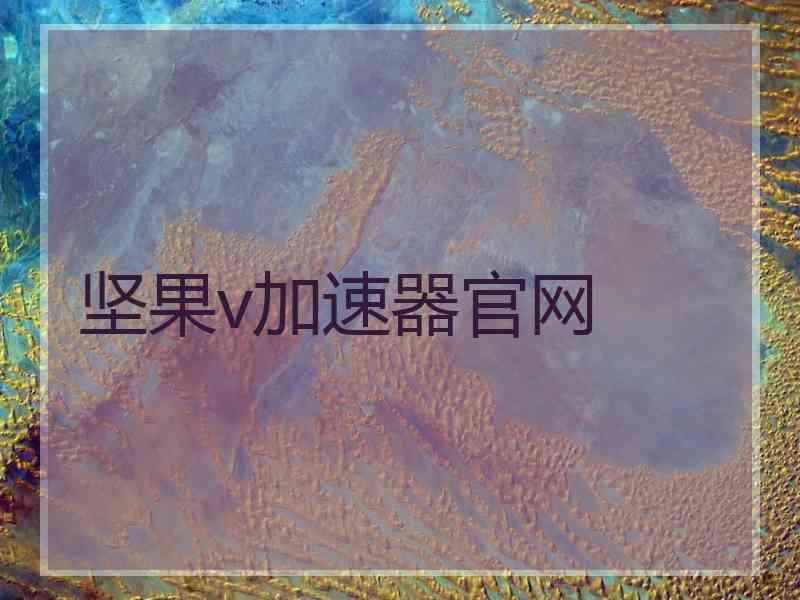 坚果v加速器官网