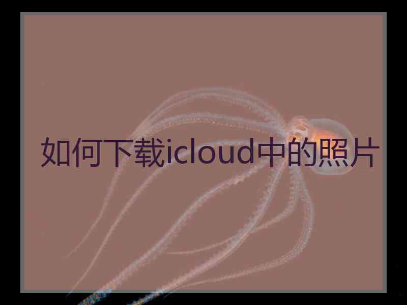 如何下载icloud中的照片