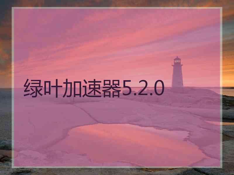 绿叶加速器5.2.0