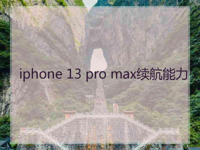 iphone 13 pro max续航能力