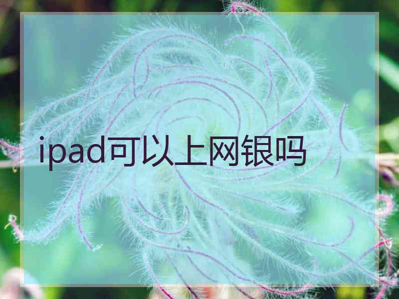 ipad可以上网银吗