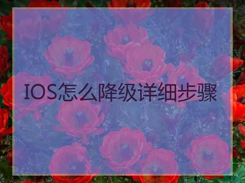 IOS怎么降级详细步骤