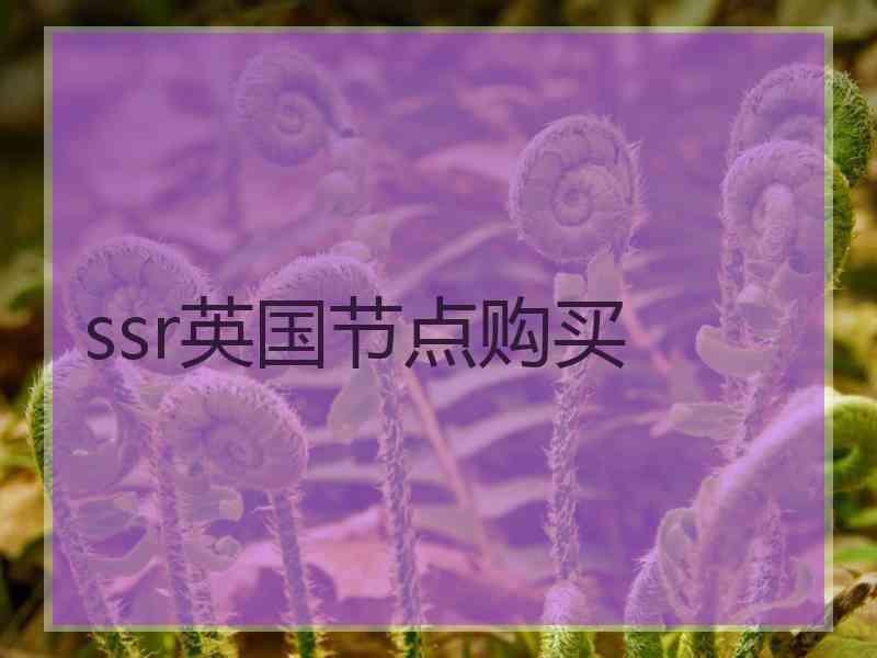 ssr英国节点购买