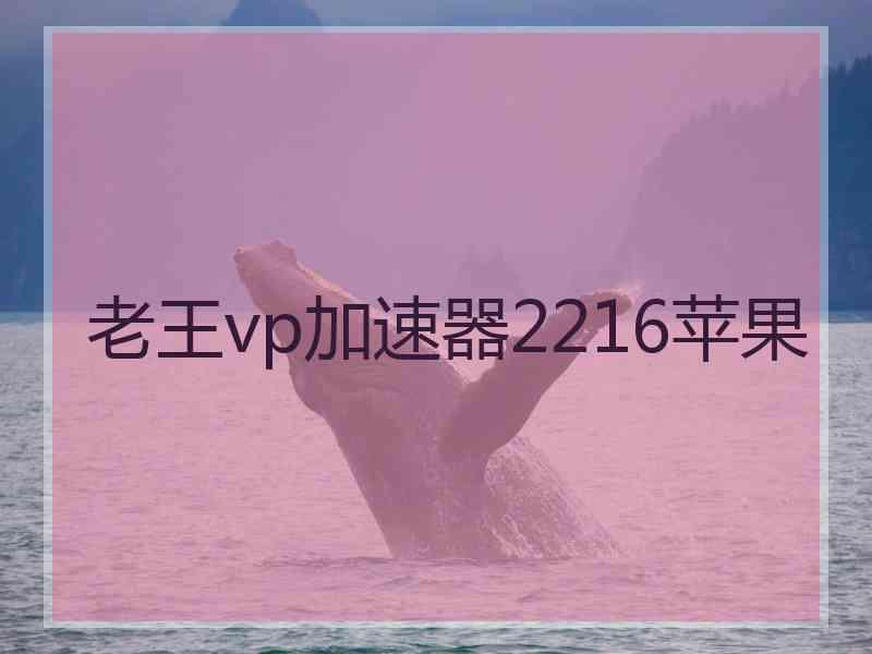 老王vp加速器2216苹果