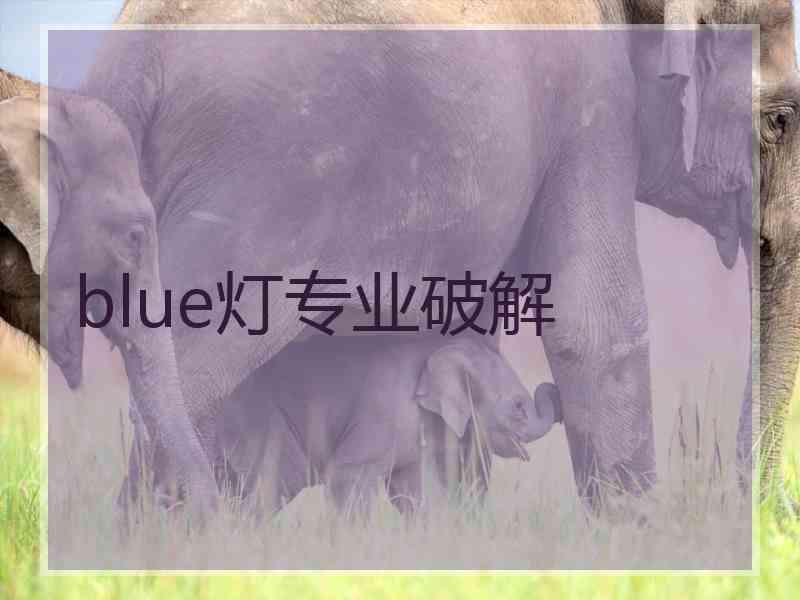 blue灯专业破解