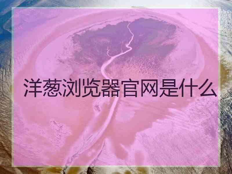 洋葱浏览器官网是什么