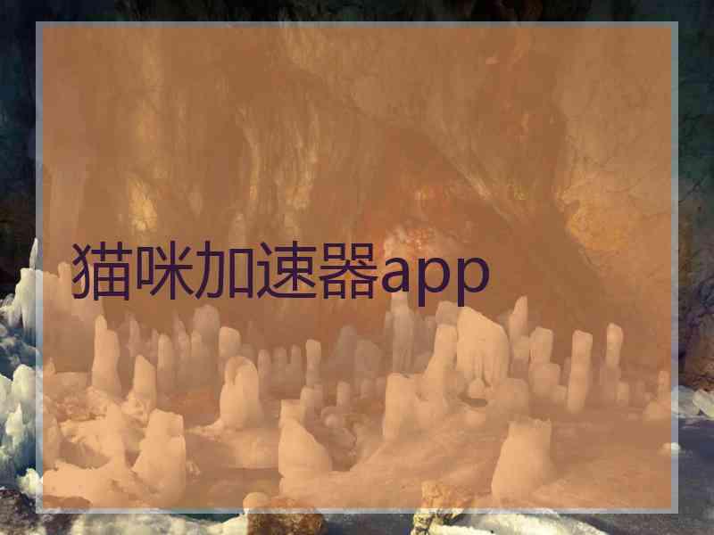 猫咪加速器app