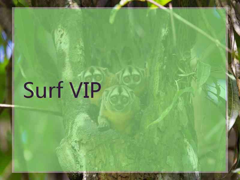 Surf VIP