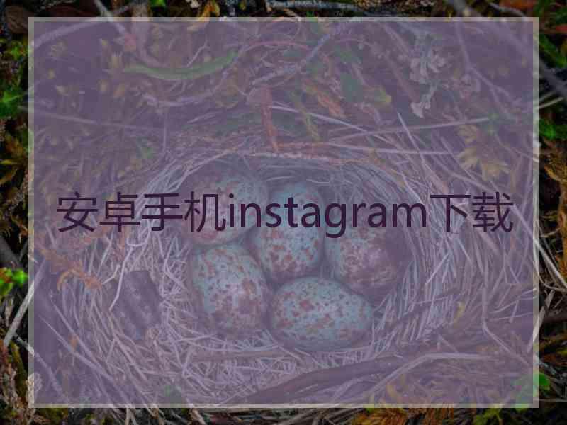 安卓手机instagram下载