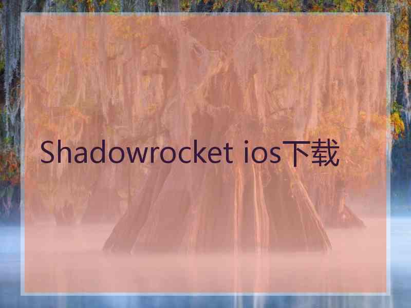 Shadowrocket ios下载