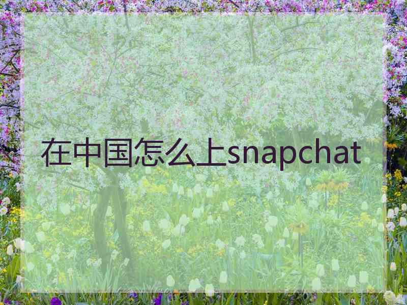 在中国怎么上snapchat