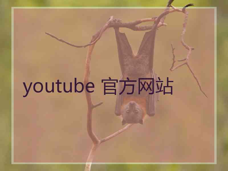 youtube 官方网站