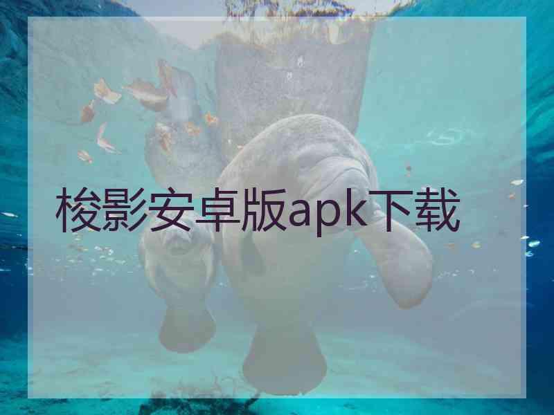 梭影安卓版apk下载