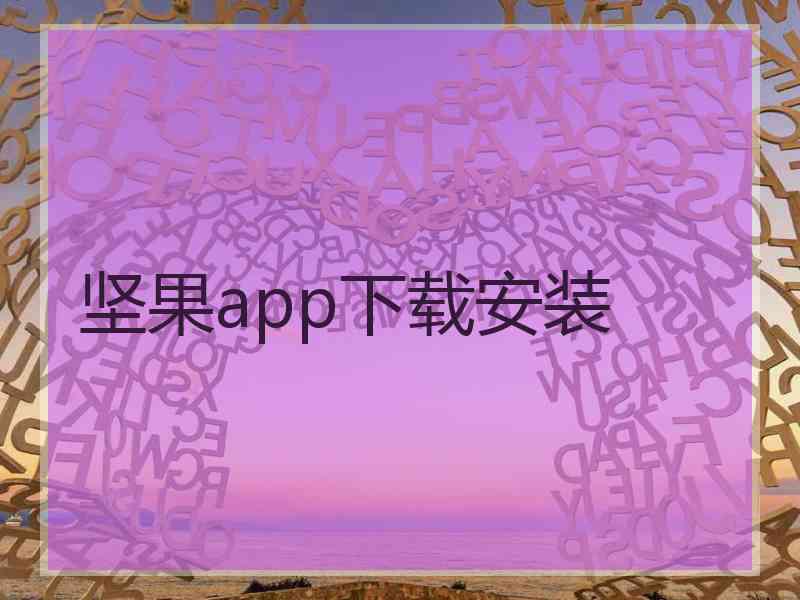 坚果app下载安装