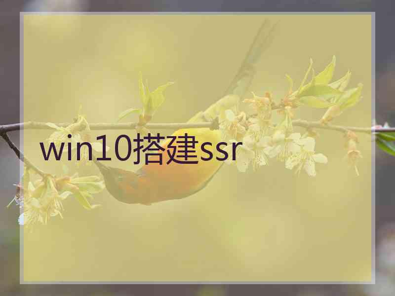 win10搭建ssr