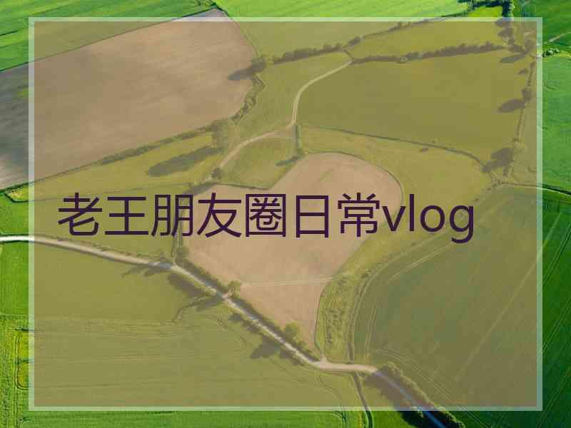 老王朋友圈日常vlog