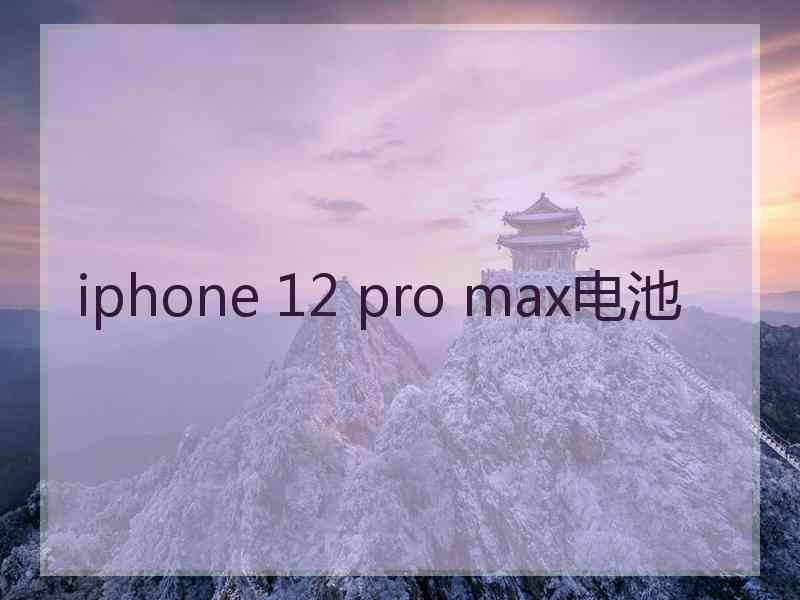 iphone 12 pro max电池