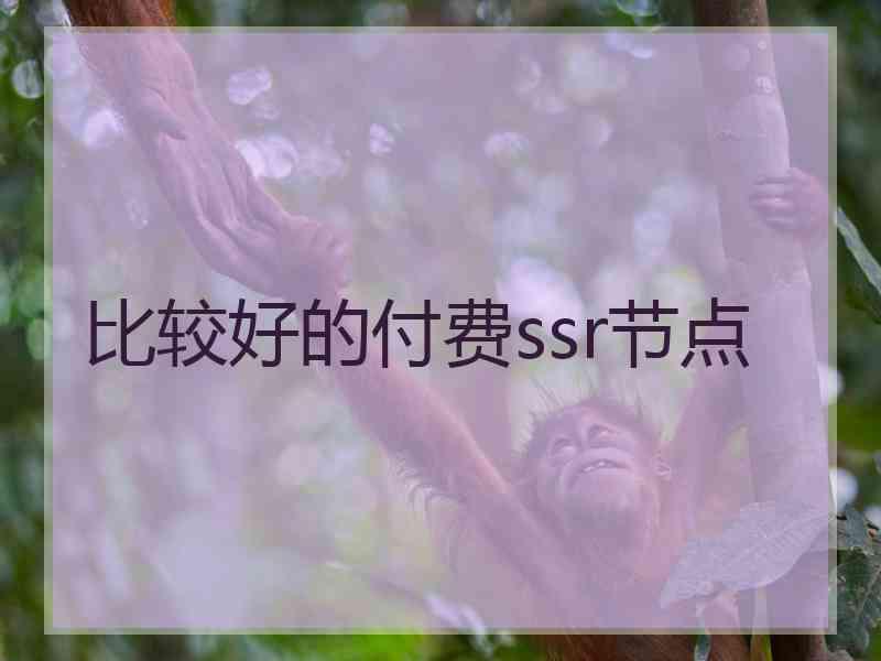 比较好的付费ssr节点