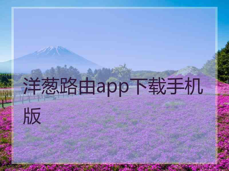 洋葱路由app下载手机版