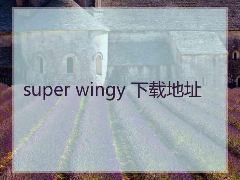 super wingy 下载地址