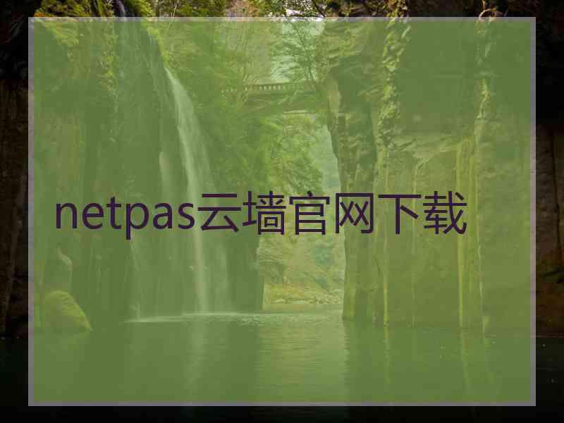 netpas云墙官网下载