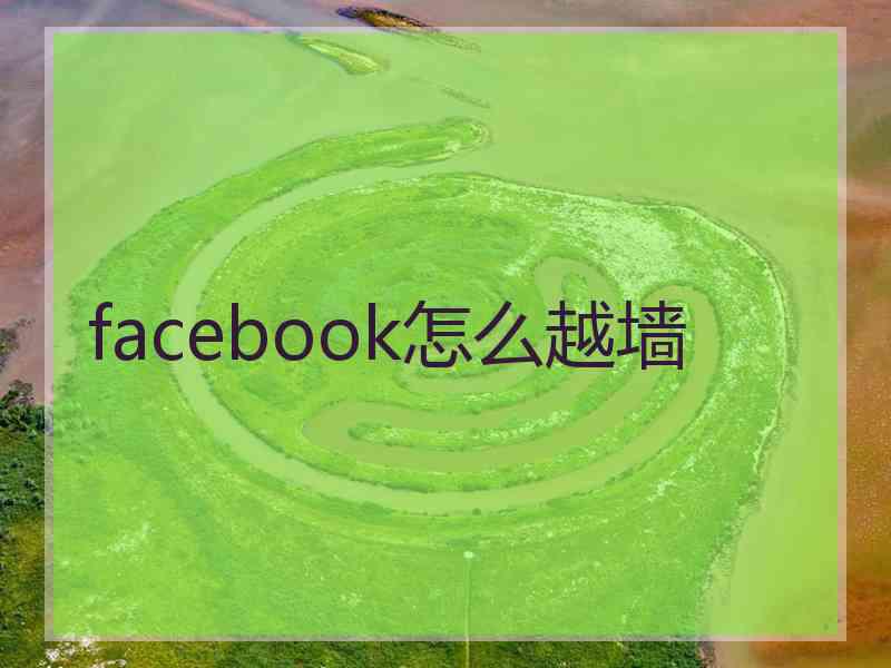 facebook怎么越墙