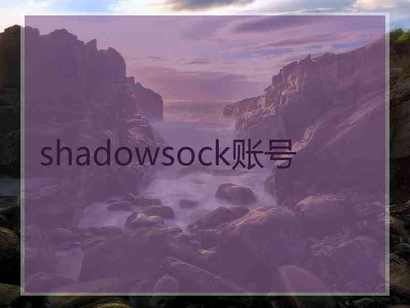 shadowsock账号