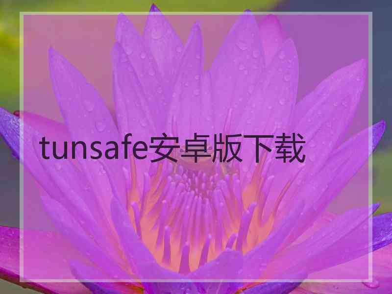 tunsafe安卓版下载