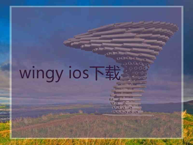 wingy ios下载