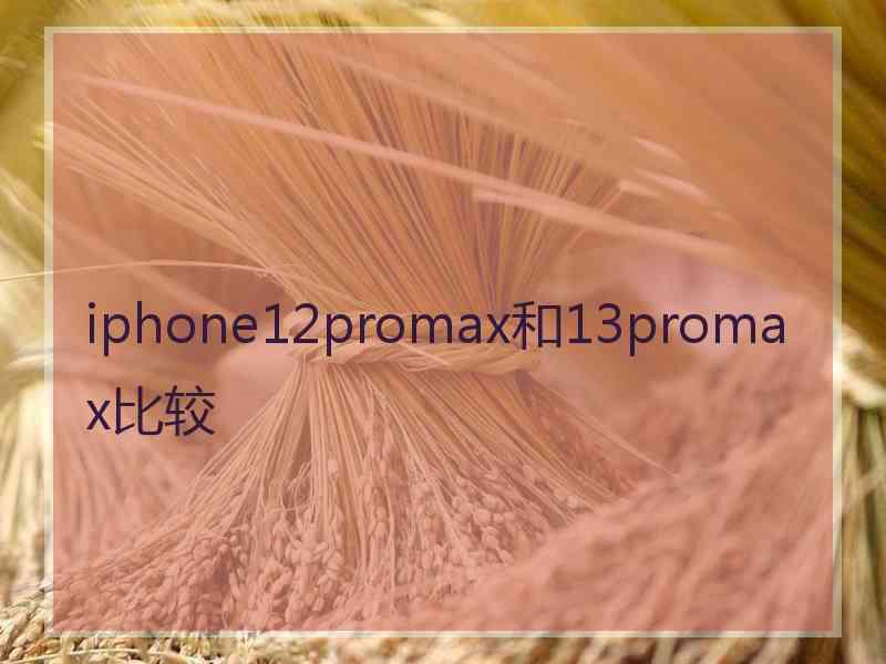 iphone12promax和13promax比较