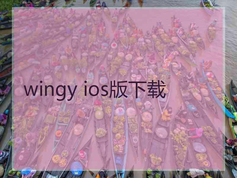 wingy ios版下载