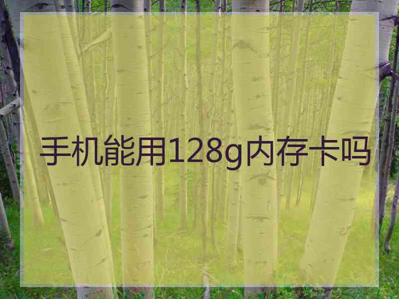 手机能用128g内存卡吗