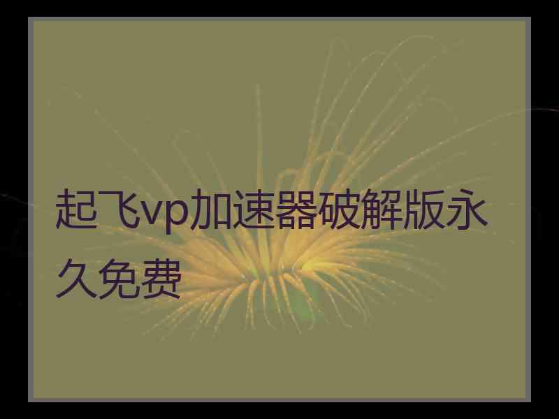 起飞vp加速器破解版永久免费