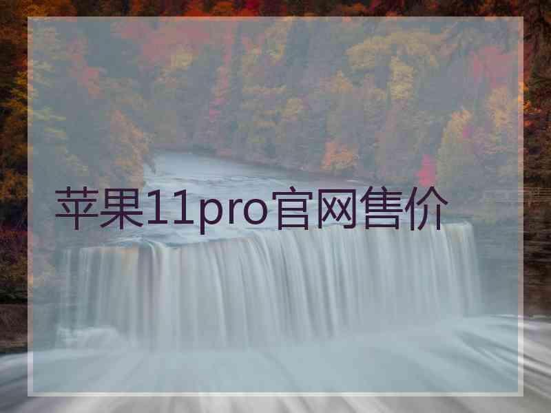 苹果11pro官网售价