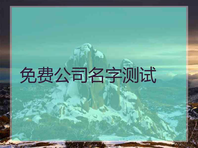 免费公司名字测试