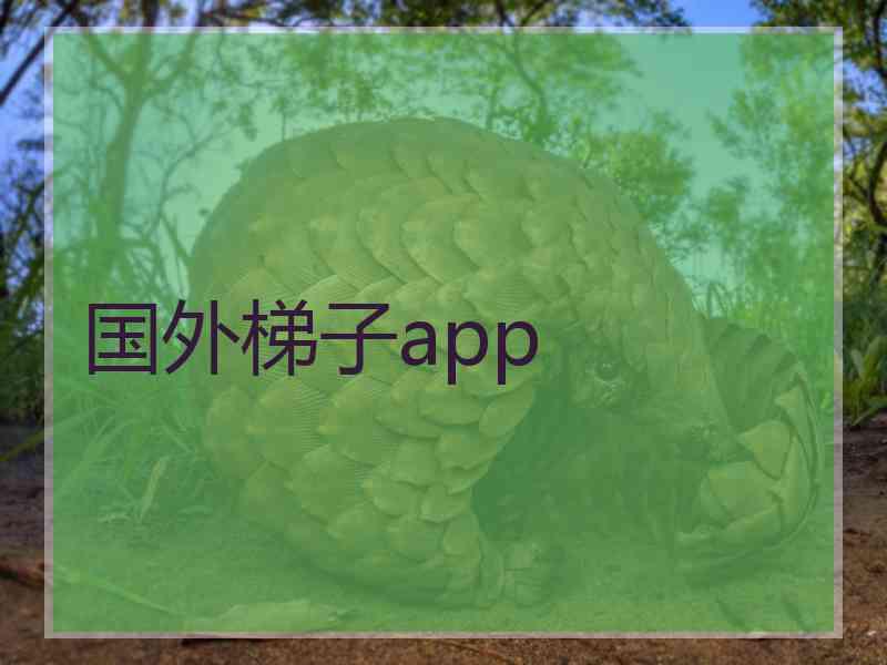 国外梯子app