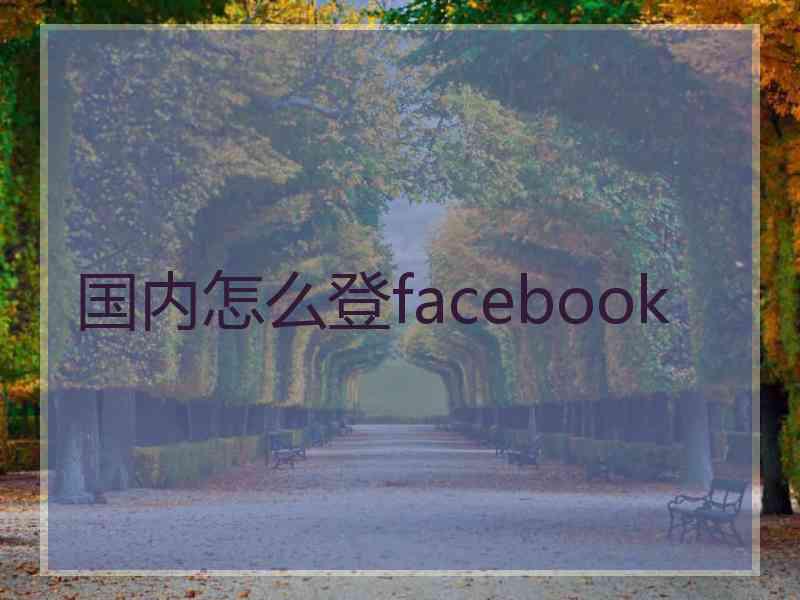 国内怎么登facebook