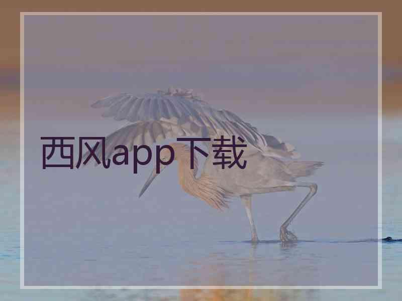 西风app下载