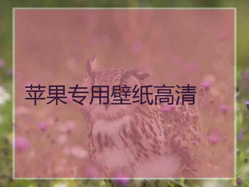 苹果专用壁纸高清