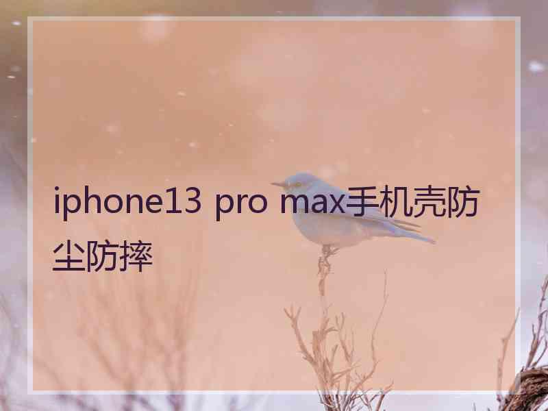 iphone13 pro max手机壳防尘防摔