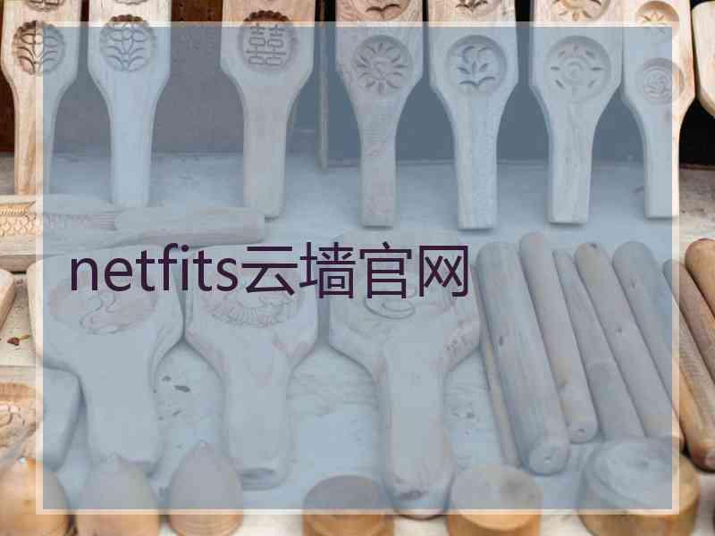 netfits云墙官网