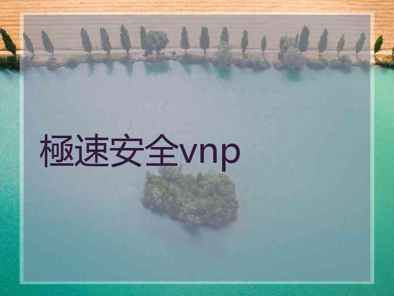 極速安全vnp