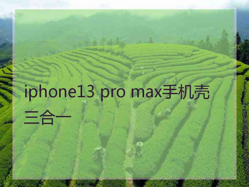 iphone13 pro max手机壳三合一