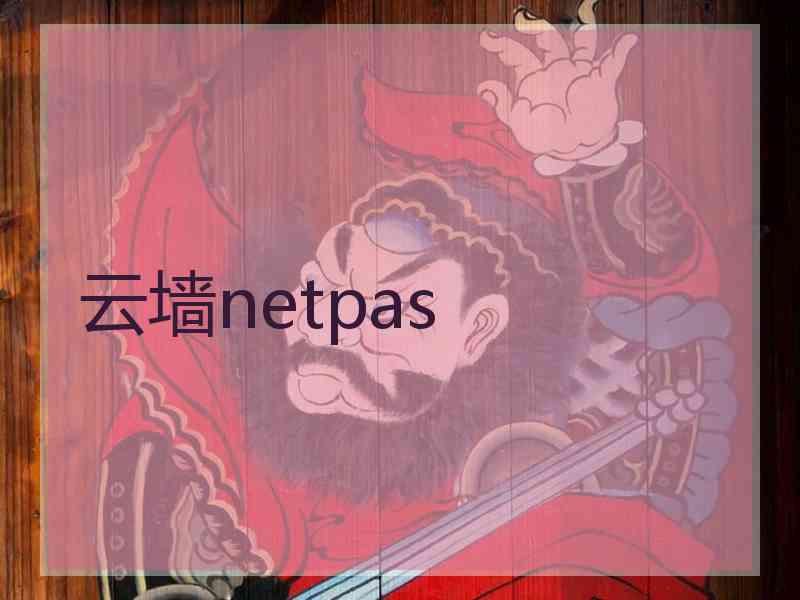 云墙netpas