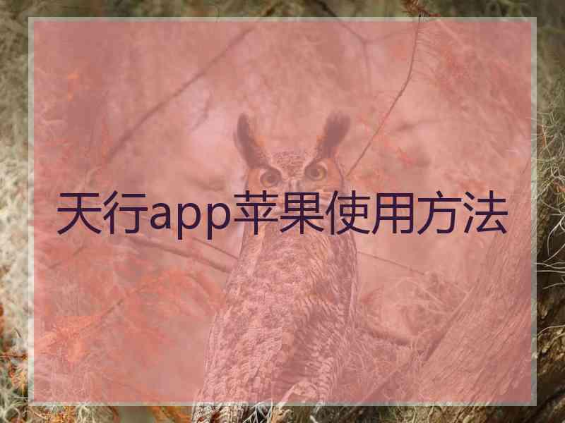 天行app苹果使用方法