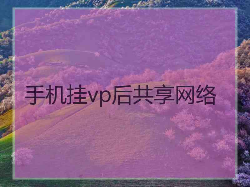 手机挂vp后共享网络